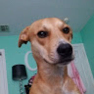 Meet your Posher, Catherine